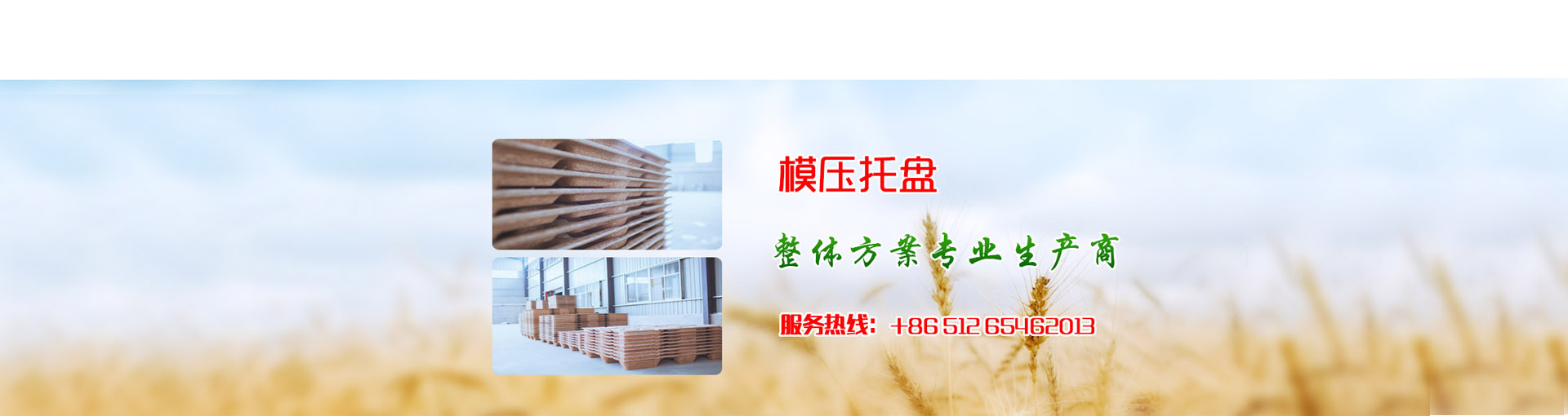 产品展示